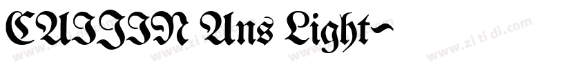 CAIJIN Ans Light字体转换